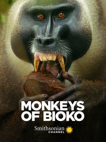 Monkeys of Bioko Poster of Monkeys of Bioko