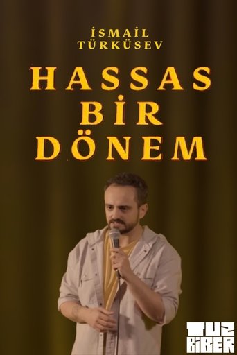 Hassas Bir Dönem - İsmail Türküsev Poster of Hassas Bir Dönem - İsmail Türküsev