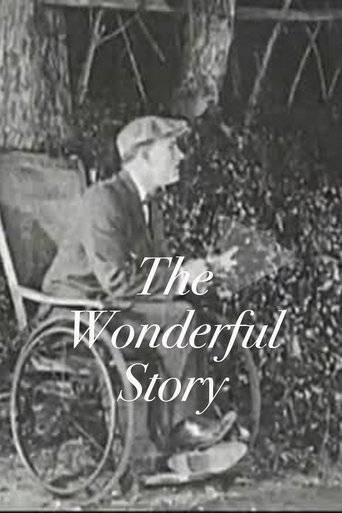 The Wonderful Story Poster of The Wonderful Story
