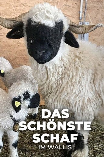 Das schönste Schaf im Wallis Poster of Das schönste Schaf im Wallis