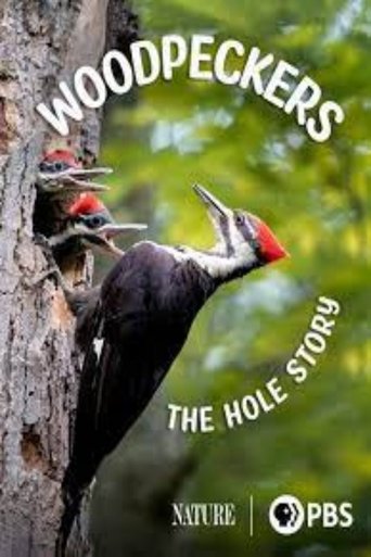 Woodpeckers: The Hole Story Poster of Woodpeckers: The Hole Story