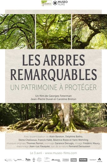 Les arbres remarquables, un patrimoine à protéger Poster of Les arbres remarquables, un patrimoine à protéger