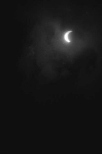 Moon Phrase / Solar Eclipse Poster of Moon Phrase / Solar Eclipse