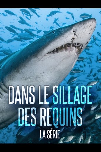 Dans Le Sillage Des Requins - La Vie Secrète Poster of Dans Le Sillage Des Requins - La Vie Secrète