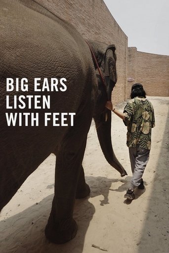 Big Ears Listen with Feet Poster of Big Ears Listen with Feet