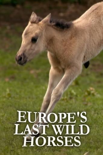Europe's Last Wild Horses Poster of Europe's Last Wild Horses