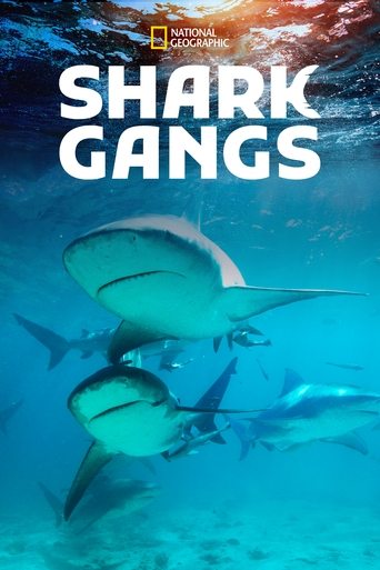 Shark Gangs Poster of Shark Gangs