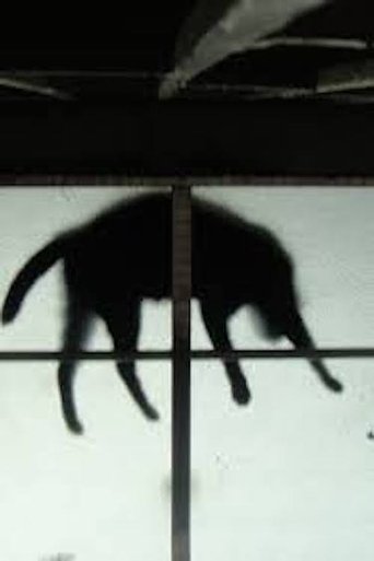 Scissors and the Cat Poster of Scissors and the Cat