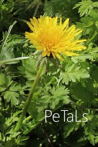 PeTaLs Poster of PeTaLs