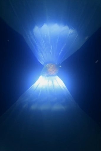 Luka and the Flower of the Sun Poster of Luka and the Flower of the Sun