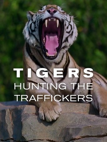 Tigers: Hunting the Traffickers Poster of Tigers: Hunting the Traffickers