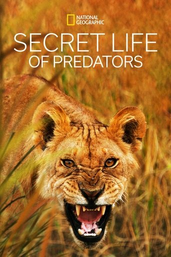 Secret Life of Predators Poster of Secret Life of Predators