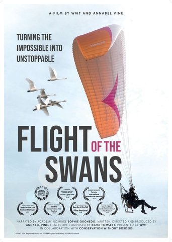 Flight of the Swans Poster of Flight of the Swans