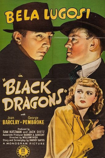 Black Dragons Poster of Black Dragons