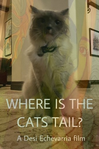 Where Is The Cat's Tail? Poster of Where Is The Cat's Tail?