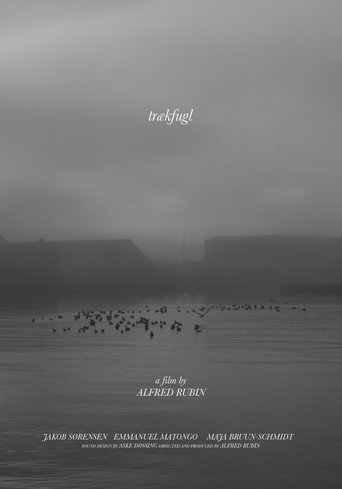 trækfugl Poster of trækfugl