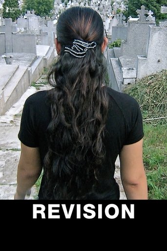 Revision Poster of Revision