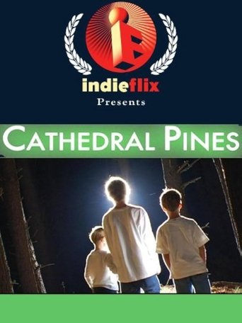 Cathedral Pines Poster of Cathedral Pines