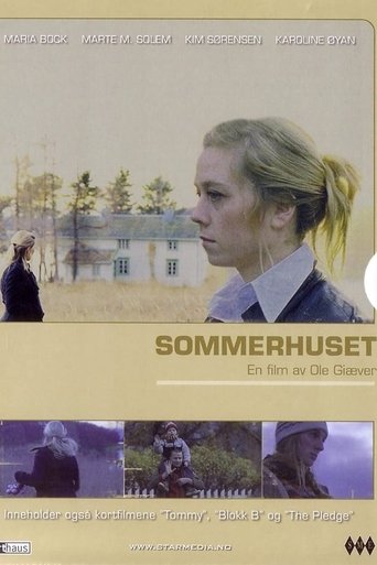 Summers Past Poster of Summers Past