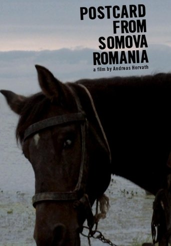 Postcard from Somova, Romania Poster of Postcard from Somova, Romania