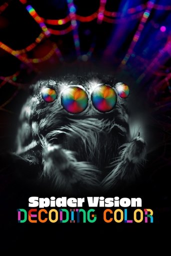 Spider Vision: Decoding Color Poster of Spider Vision: Decoding Color