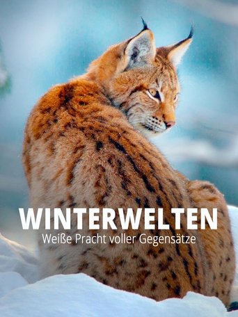 Terra X - Wilde Winterwelten Poster of Terra X - Wilde Winterwelten