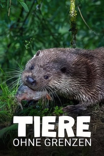 Tiere ohne Grenzen Poster of Tiere ohne Grenzen
