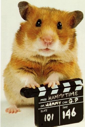 Once Upon a Hamster Poster of Once Upon a Hamster