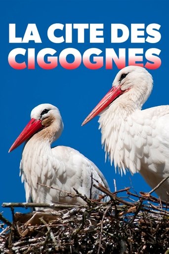 Klappern gehört zum Geschäft: Europas größtes Storchendorf Poster of Klappern gehört zum Geschäft: Europas größtes Storchendorf