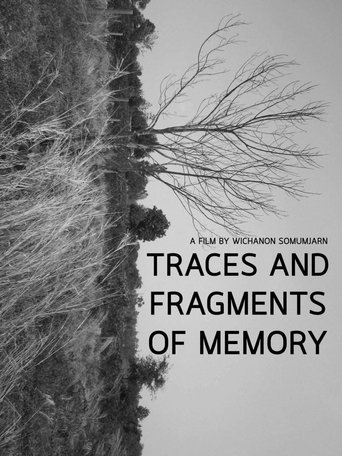 Traces and Fragments of Memory Poster of Traces and Fragments of Memory