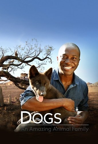 Dogs: An Amazing Animal Family Poster of Dogs: An Amazing Animal Family