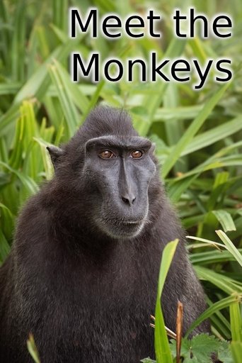 Meet the Monkeys Poster of Meet the Monkeys