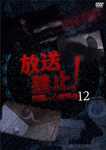 Broadcast Prohibited! Troubling Supernatural Footage 12 Poster of Broadcast Prohibited! Troubling Supernatural Footage 12