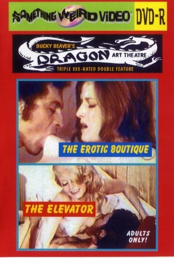 The Erotic Boutique Poster of The Erotic Boutique