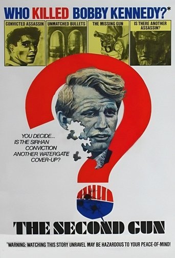 The Second Gun Poster of The Second Gun