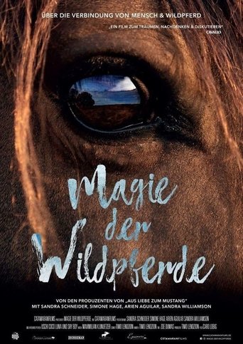 Magic of the Wild Horses Poster of Magic of the Wild Horses