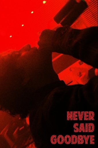 Never Said Goodbye Poster of Never Said Goodbye