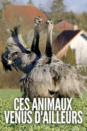 Ces animaux venus d'ailleurs Poster of Ces animaux venus d'ailleurs