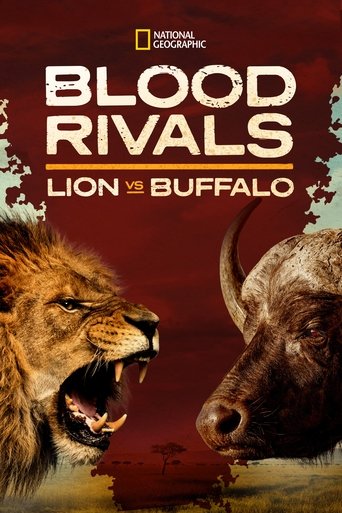 Blood Rivals: Lion vs Buffalo Poster of Blood Rivals: Lion vs Buffalo