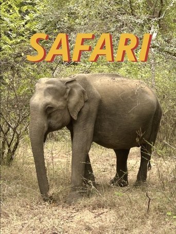 Safari Poster of Safari
