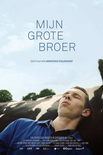 Mijn grote broer Poster of Mijn grote broer