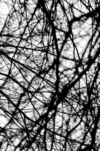 Five Hundred Plateaus Poster of Five Hundred Plateaus