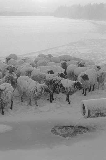 Nightfall Poster of Nightfall