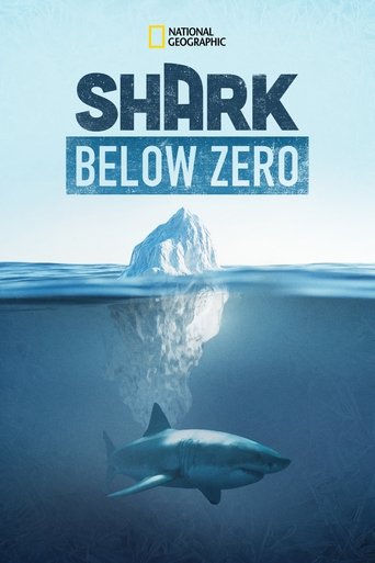 Shark Below Zero Poster of Shark Below Zero