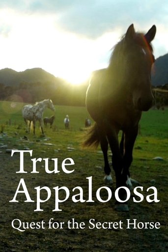 True Appaloosa Poster of True Appaloosa