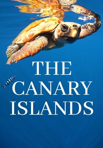 The Canary Islands Poster of The Canary Islands