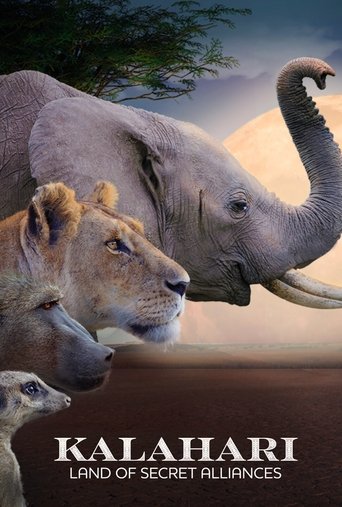 Kalahari: Land of Secret Alliances Poster of Kalahari: Land of Secret Alliances