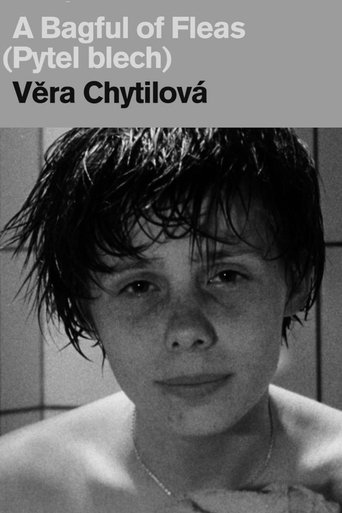 A Bagful of Fleas Poster of A Bagful of Fleas