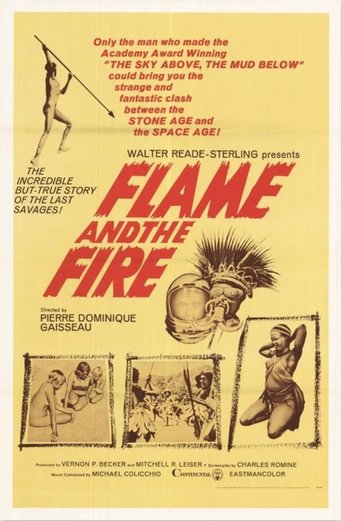 Flame and the Fire Poster of Flame and the Fire