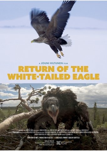 Return of the White-tailed Eagle Poster of Return of the White-tailed Eagle